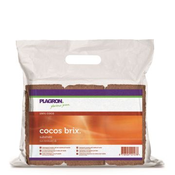 Plagron Cocos Brix 6 kom