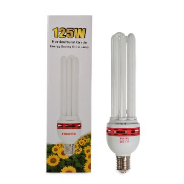 CFL 125 W Bloom 2700 K