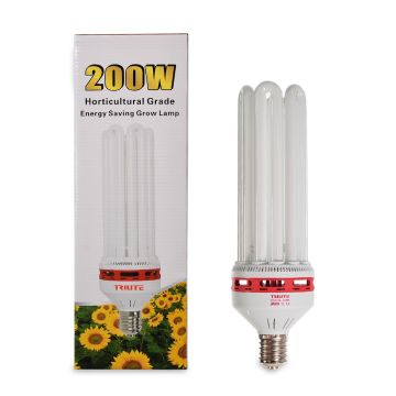 CFL 200 W Bloom 2700 K