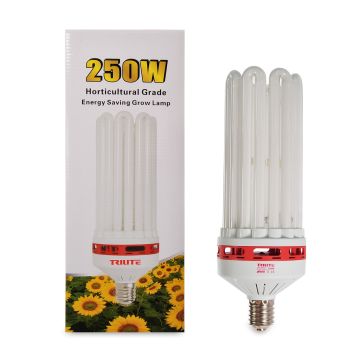 CFL 250 W Bloom 2700 K